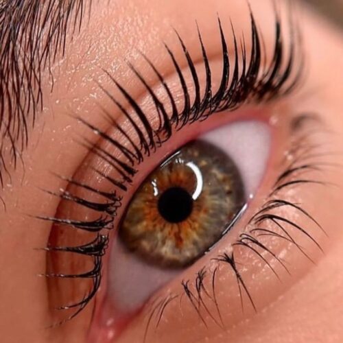 KOREAI SZEMPILLA LIFTING & HANYOMÁNYOS SZEMPILLA LIFTING MESTERFOKON