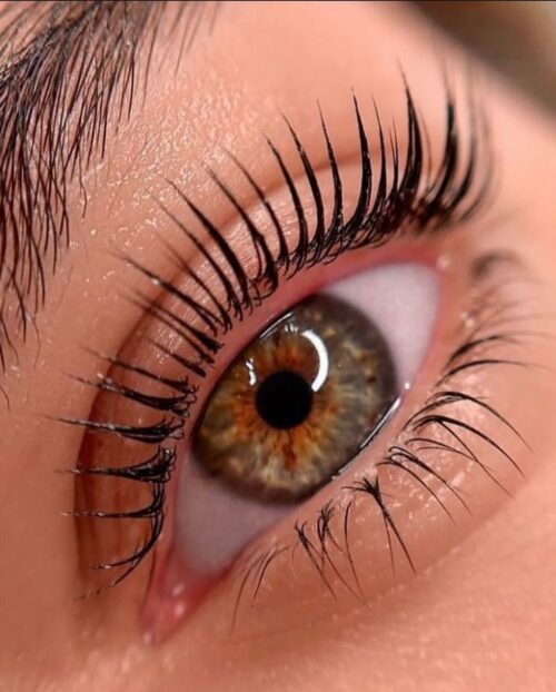 KOREAI SZEMPILLA LIFTING & HANYOMÁNYOS SZEMPILLA LIFTING MESTERFOKON